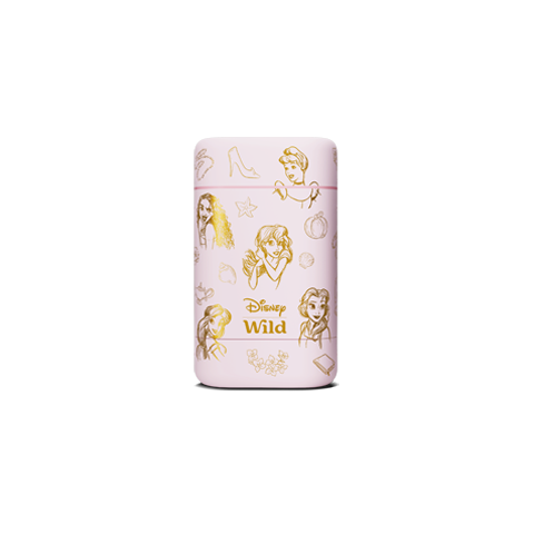 Disney Princess Stick Deodorant Case